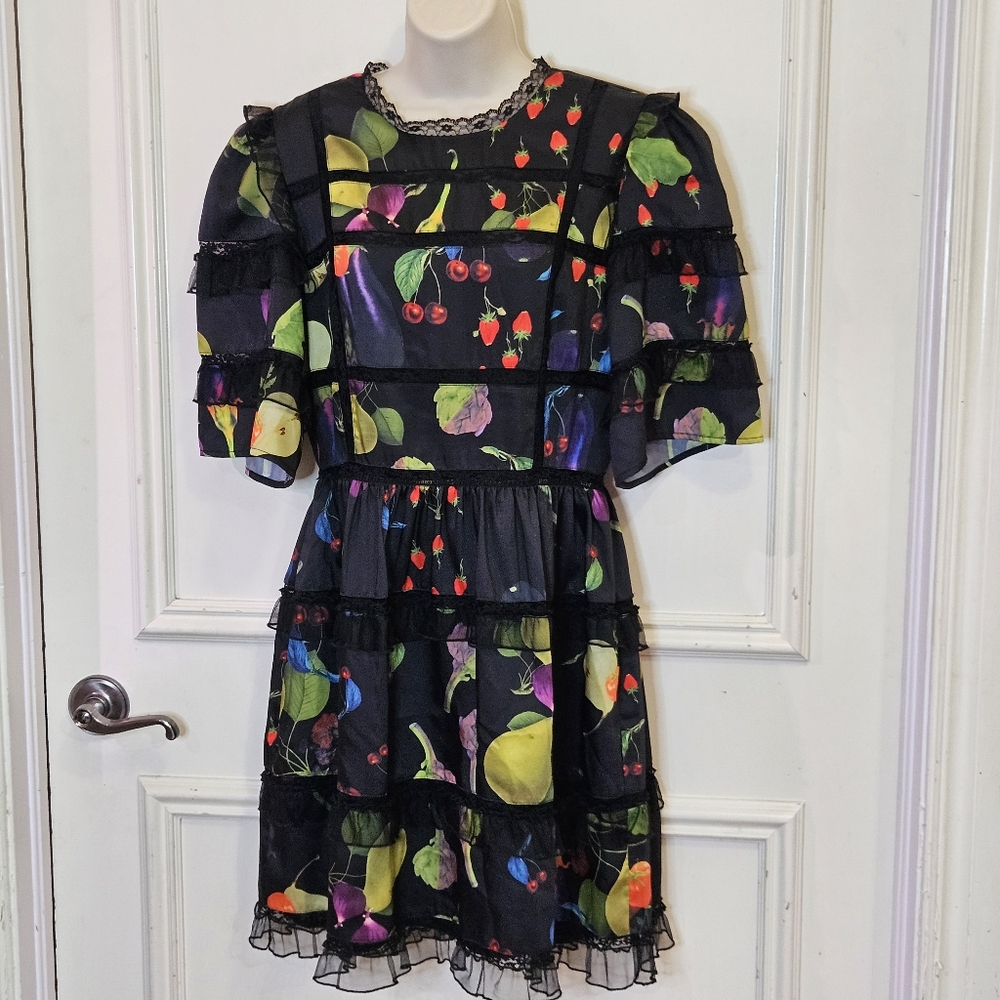 Cynthia Rowley Olivia Lace Tulle Black Multi-Color Fruit Print  Dress,Size 10